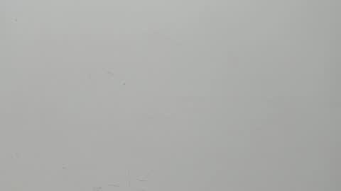 SALVATORE online show from February 6, 11:10 am