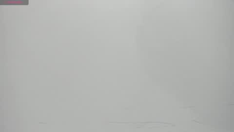 SALVATORE online show from February 14, 11:10 am