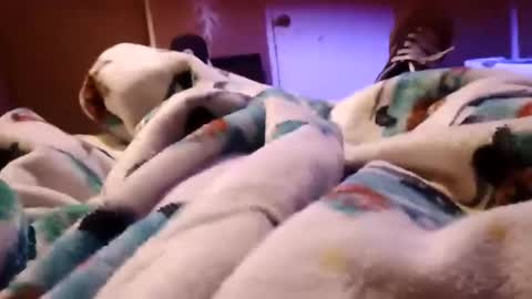 sam44444446 online show from November 27, 9:22 am