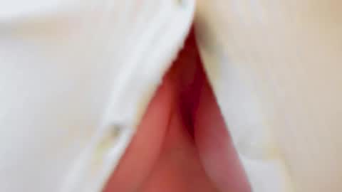 Andy online show from October 17, 12:30 pm