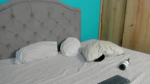 Snapshot of sammy_and_mike_ls chatting on January 31, 2:58 am Sophie y Mark online show from January 31, 2:58 am