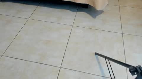 Axel online show from November 2, 12:29 pm