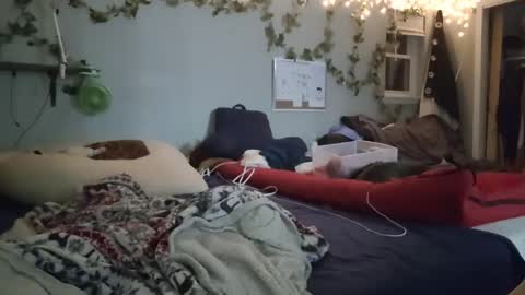 Sammy Time online show from February 26, 4:47 am