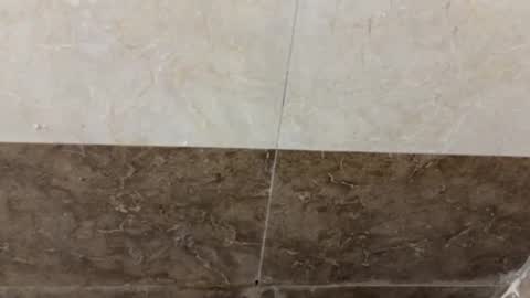 samnivin online show from November 1, 5:04 pm