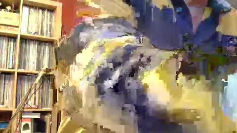 Snapshot of samsenior70 chatting on November 8, 11:58 pm Sam online show from November 8, 11:58 pm