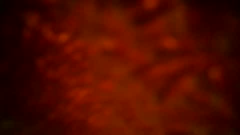 samueltal online show from September 16, 12:11 am