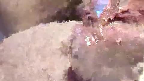 sappyhaha online show from November 12, 11:21 am