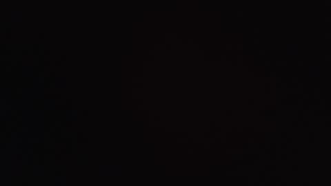  SARA online show from October 10, 11:20 am