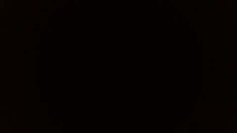 S A R A online show from November 7, 11:21 am