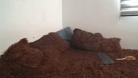 sara and thomas online show from January 10, 9:10 pm