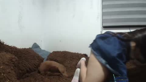 sara and thomas online show from January 12, 2:24 am