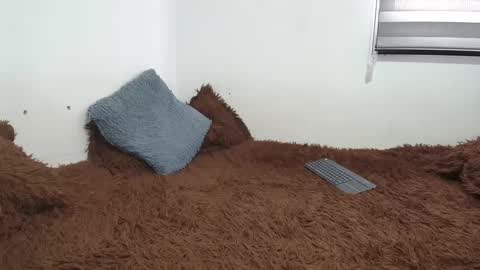 sara and thomas online show from February 26, 9:27 pm