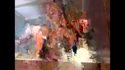 Snapshot of sassyella chatting on September 9, 3:39 am Sassyella online show from September 9, 3:39 am