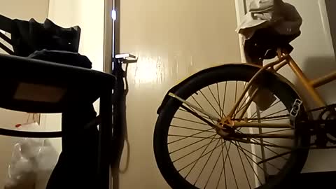 SnowBunny online show from January 2, 10:58 am