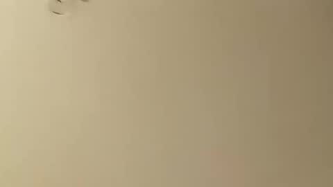 SnowBunny online show from January 26, 5:13 am