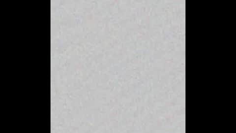 Venus online show from February 2, 2:24 pm