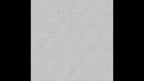 Venus online show from February 17, 11:23 am