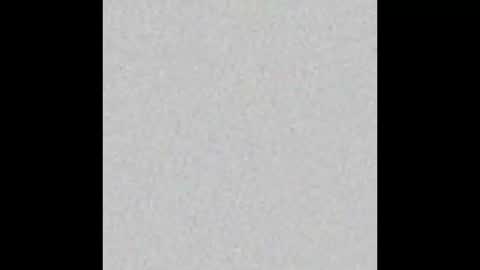 Venus online show from September 15, 1:33 pm