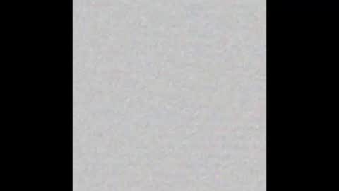 Venus online show from November 2, 2:08 pm