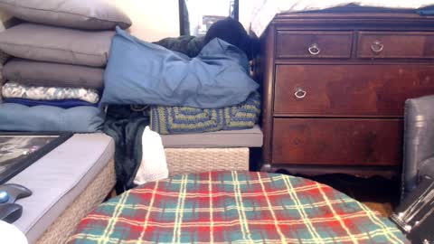 Scarlotta online show from February 8, 9:36 pm