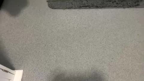 scottyc48 online show from October 5, 2:04 pm