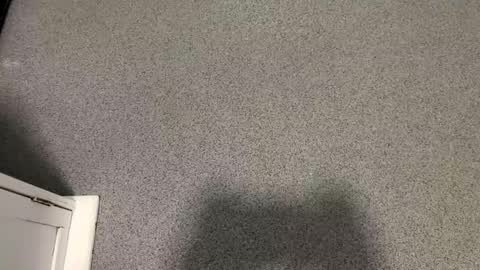 scottyc48 online show from November 12, 2:39 pm