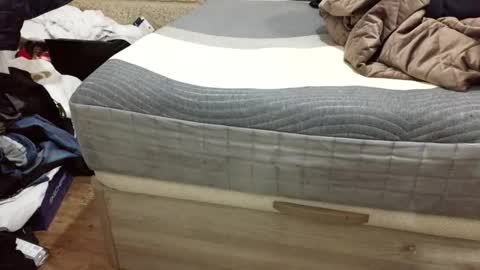 scubi007 online show from November 2, 10:12 pm