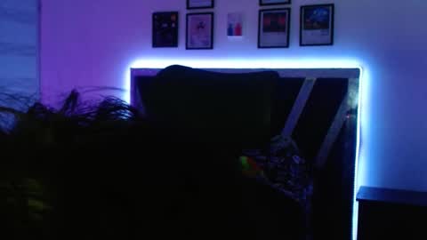 Sebas online show from October 9, 3:48 am