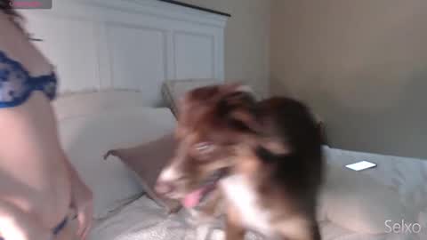 Sel online show from September 23, 1:03 pm