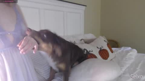 Sel online show from October 20, 1:33 pm