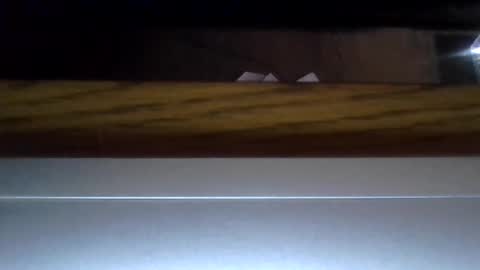 Snapshot of sensualspiritxx chatting on November 13, 3:16 am sensualspiritxx online show from November 13, 3:16 am