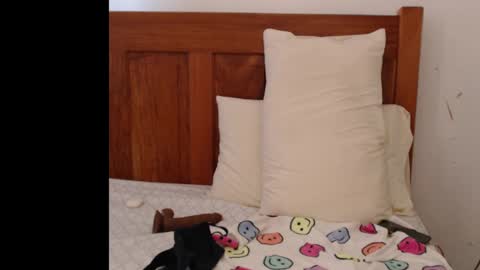 Anne online show from February 13, 10:23 am