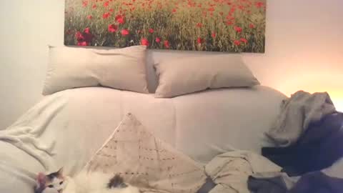 Snapshot of sexurbation chatting on December 10, 3:01 pm Sexurbation online show from December 10, 3:01 pm