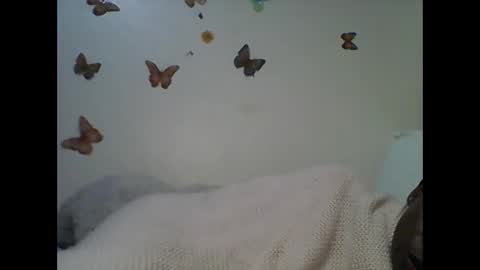 Snapshot of sexy_annbel chatting on November 22, 3:49 am Ann online show from November 22, 3:49 am