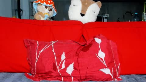 Ari online show from December 16, 5:11 pm