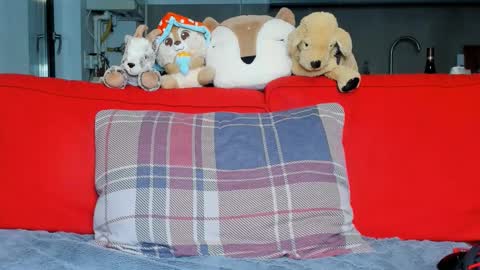 Ari online show from October 5, 5:33 pm