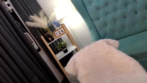 JENNY online show from January 26, 6:28 am