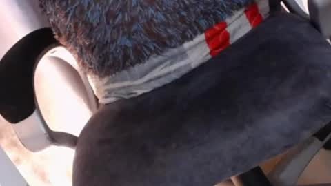 Snapshot of sexyshemale4uxxx chatting on February 7, 5:10 am online show from February 7, 5:10 am