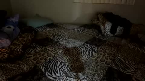 Shaman Woman online show from December 6, 2:57 am