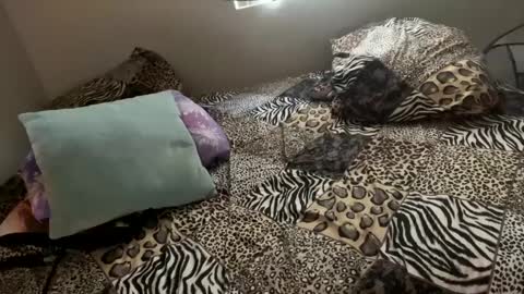 Shaman Woman online show from December 6, 11:57 pm