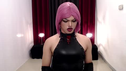 Shane X online show from December 8, 6:28 pm