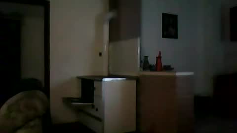 Snapshot of shaomy711 chatting on December 11, 1:06 pm excelo21 online show from December 11, 1:06 pm