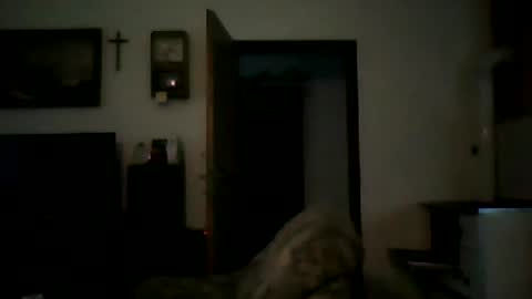 Snapshot of shaomy711 chatting on January 7, 2:30 pm excelo21 online show from January 7, 2:30 pm