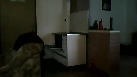 Snapshot of shaomy711 chatting on January 12, 7:32 am excelo21 online show from January 12, 7:32 am