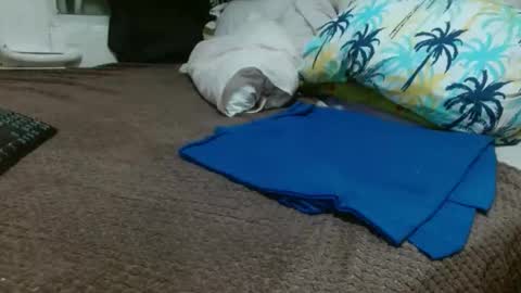 sharlot03 online show from February 10, 10:53 am