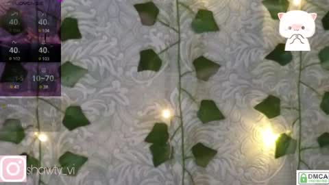 shawty_vi online show from February 3, 8:13 pm