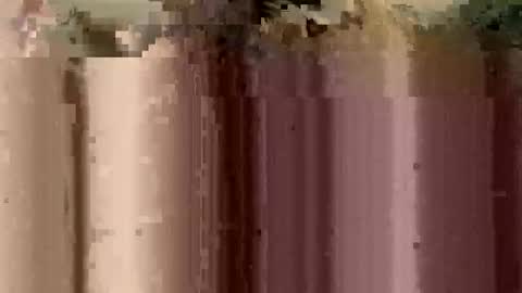 Snapshot of sheablo33 chatting on December 17, 2:39 am sheablo33 online show from December 17, 2:39 am