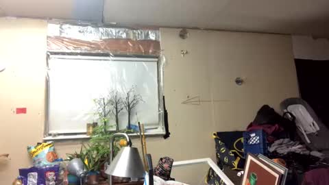 Shelby holes online show from March 10, 11:42 am