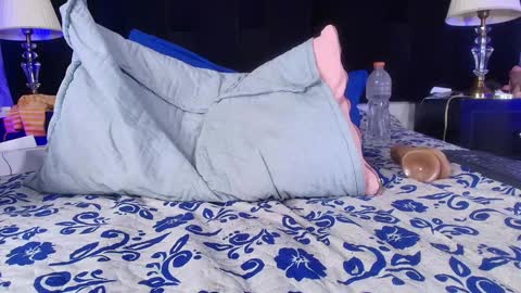 Shelsy online show from February 8, 3:00 pm