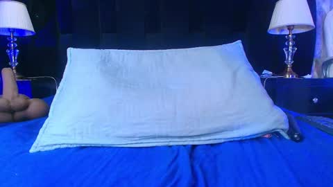 Shelsy online show from February 12, 2:54 pm